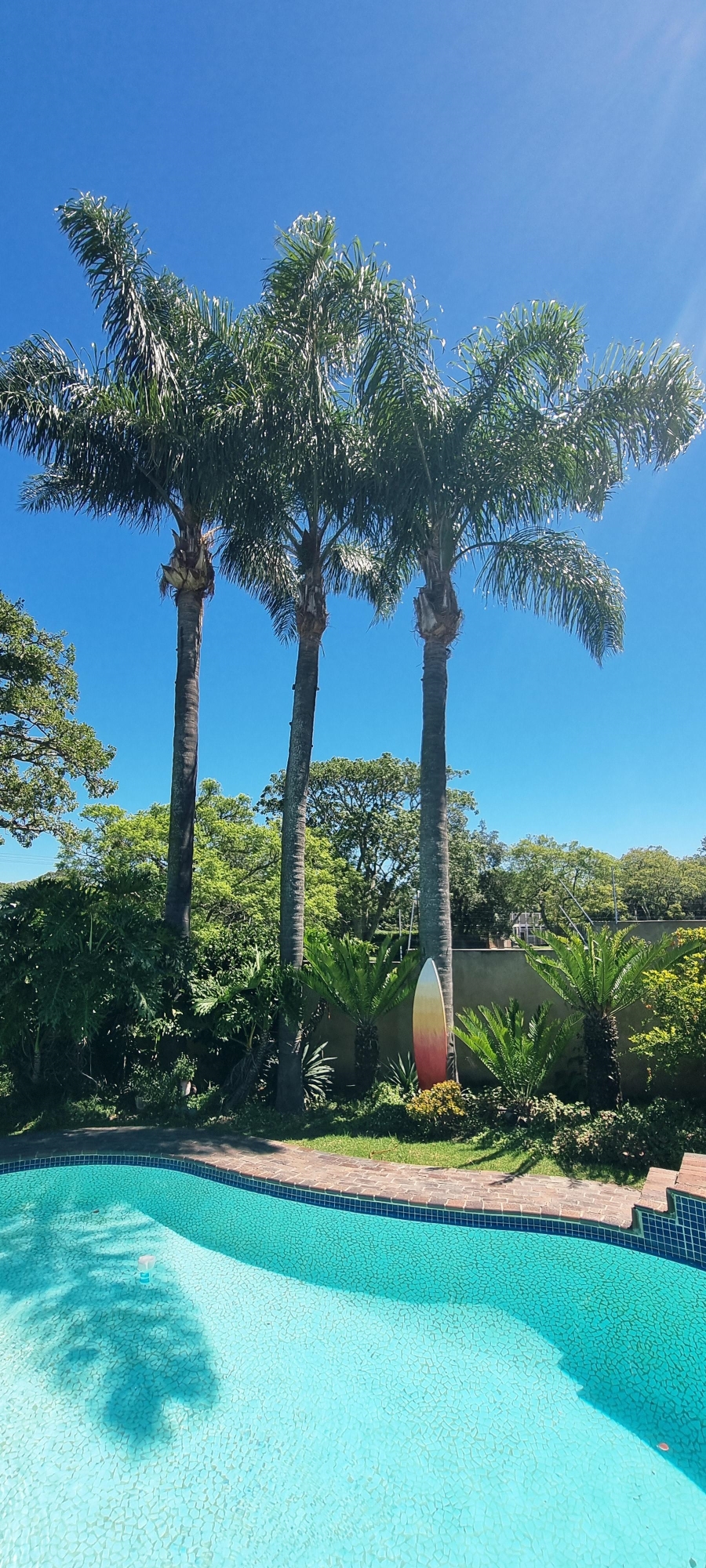 Commercial Property for Sale in King Williams Town Central Eastern Cape